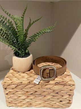 Madewell Tan Suede Belt with Rounded Gold Buckle